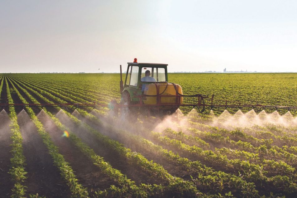 Fertilizers